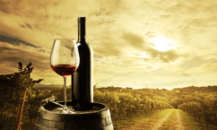 markets supported wines
